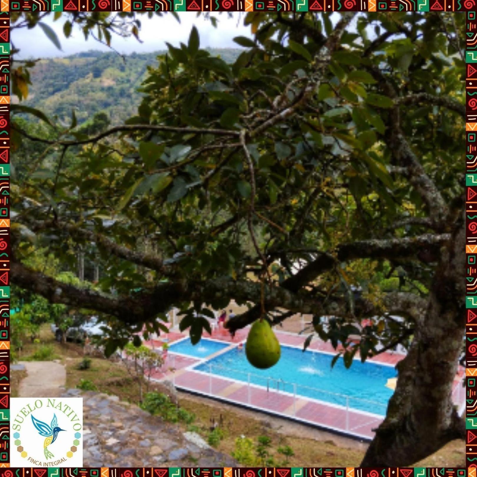 גואדואס Hotel Finca Integral Suelo Natiivo "Integramos El Campo Con Tu Bienestar" מראה חיצוני תמונה