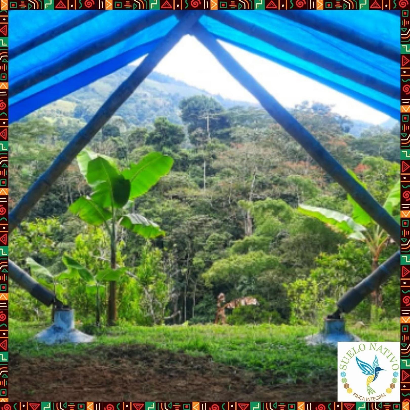 גואדואס Hotel Finca Integral Suelo Natiivo "Integramos El Campo Con Tu Bienestar" מראה חיצוני תמונה