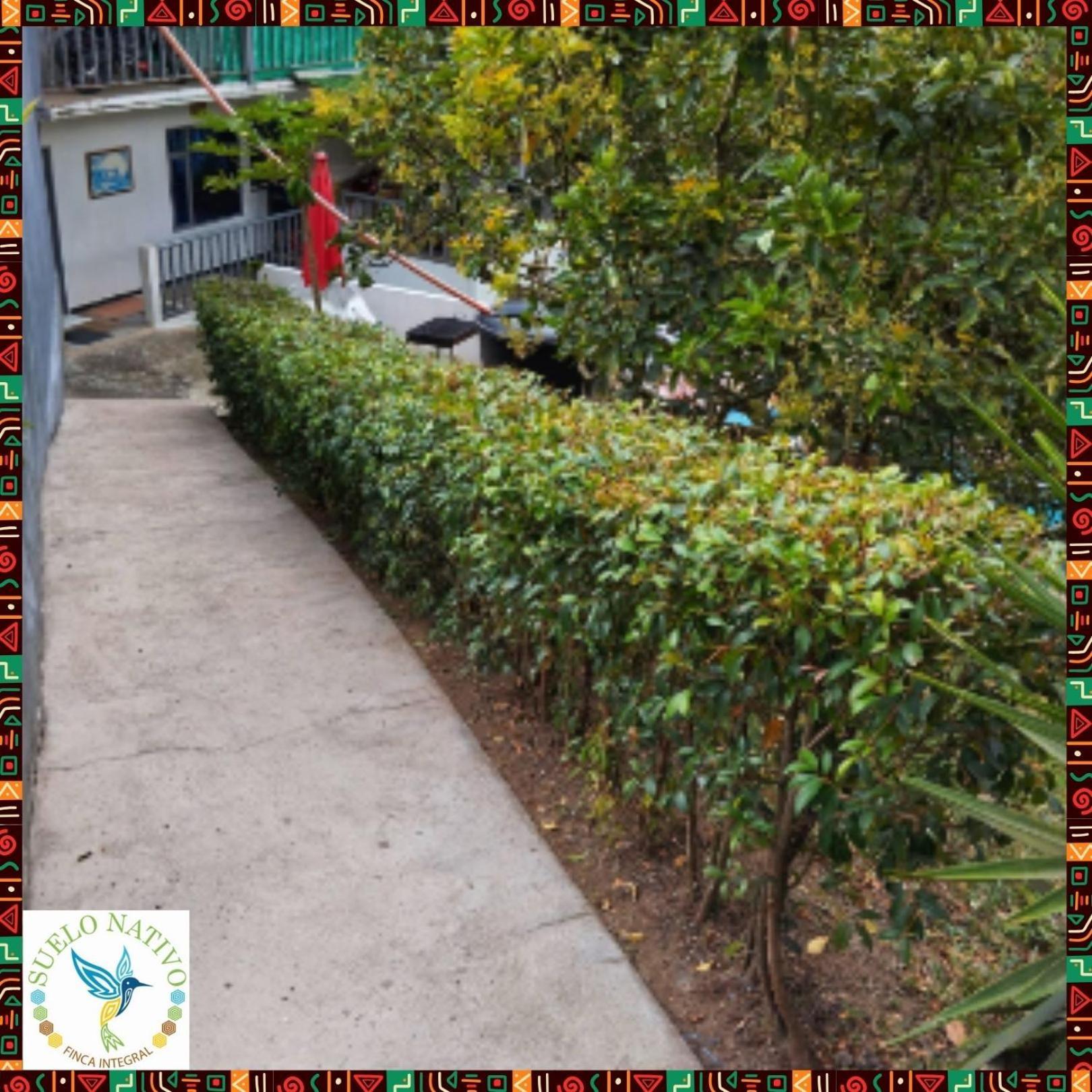 גואדואס Hotel Finca Integral Suelo Natiivo "Integramos El Campo Con Tu Bienestar" מראה חיצוני תמונה
