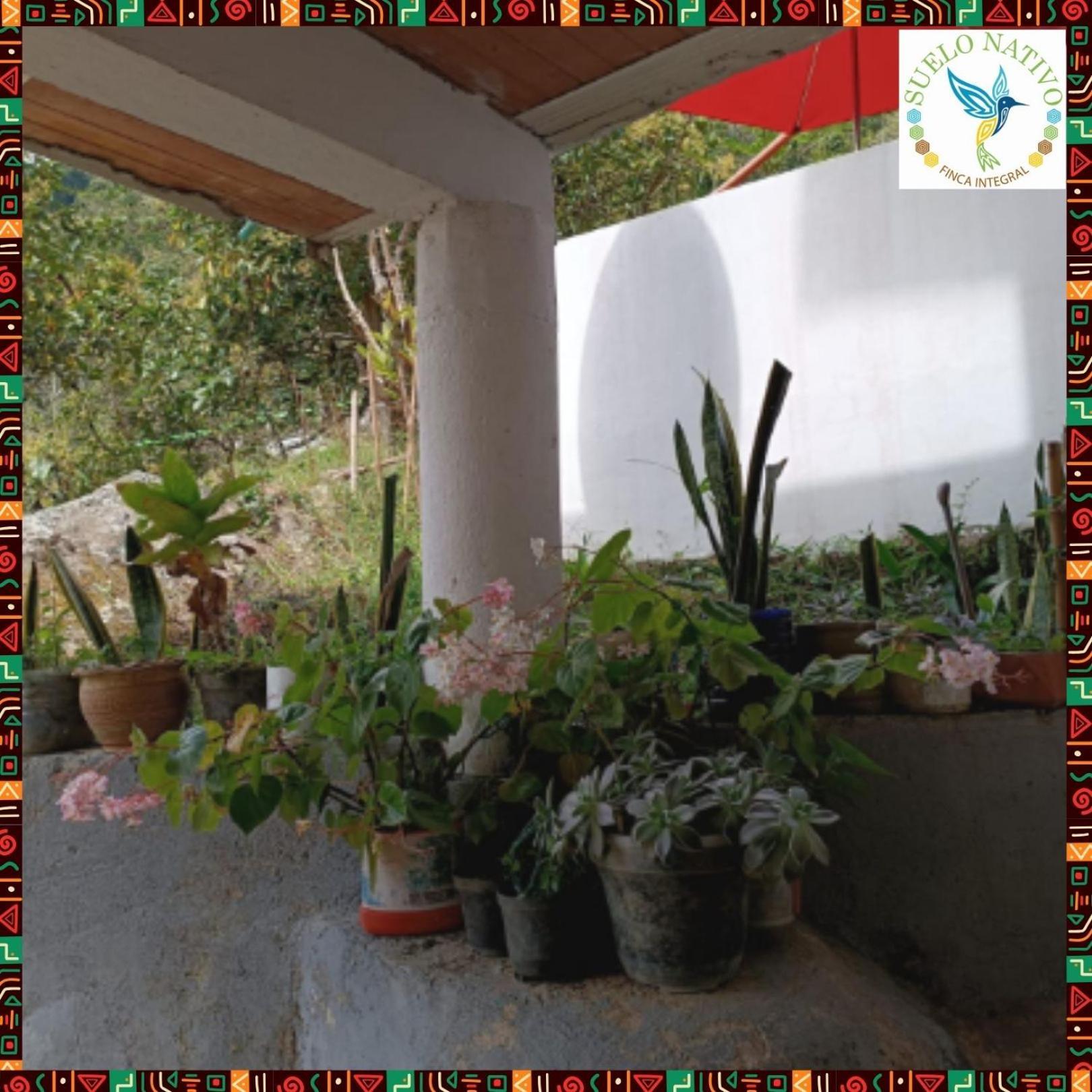 גואדואס Hotel Finca Integral Suelo Natiivo "Integramos El Campo Con Tu Bienestar" מראה חיצוני תמונה