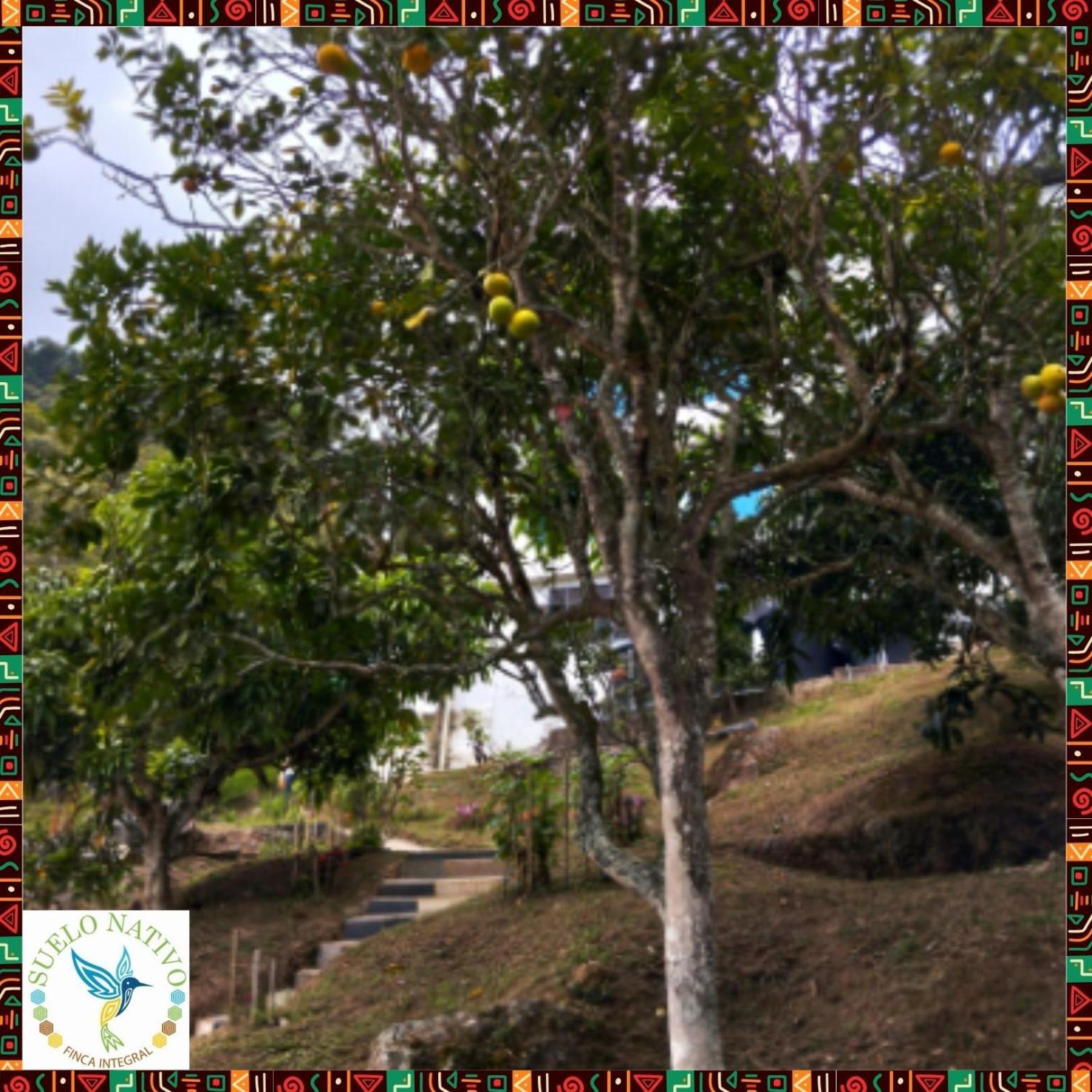 גואדואס Hotel Finca Integral Suelo Natiivo "Integramos El Campo Con Tu Bienestar" מראה חיצוני תמונה